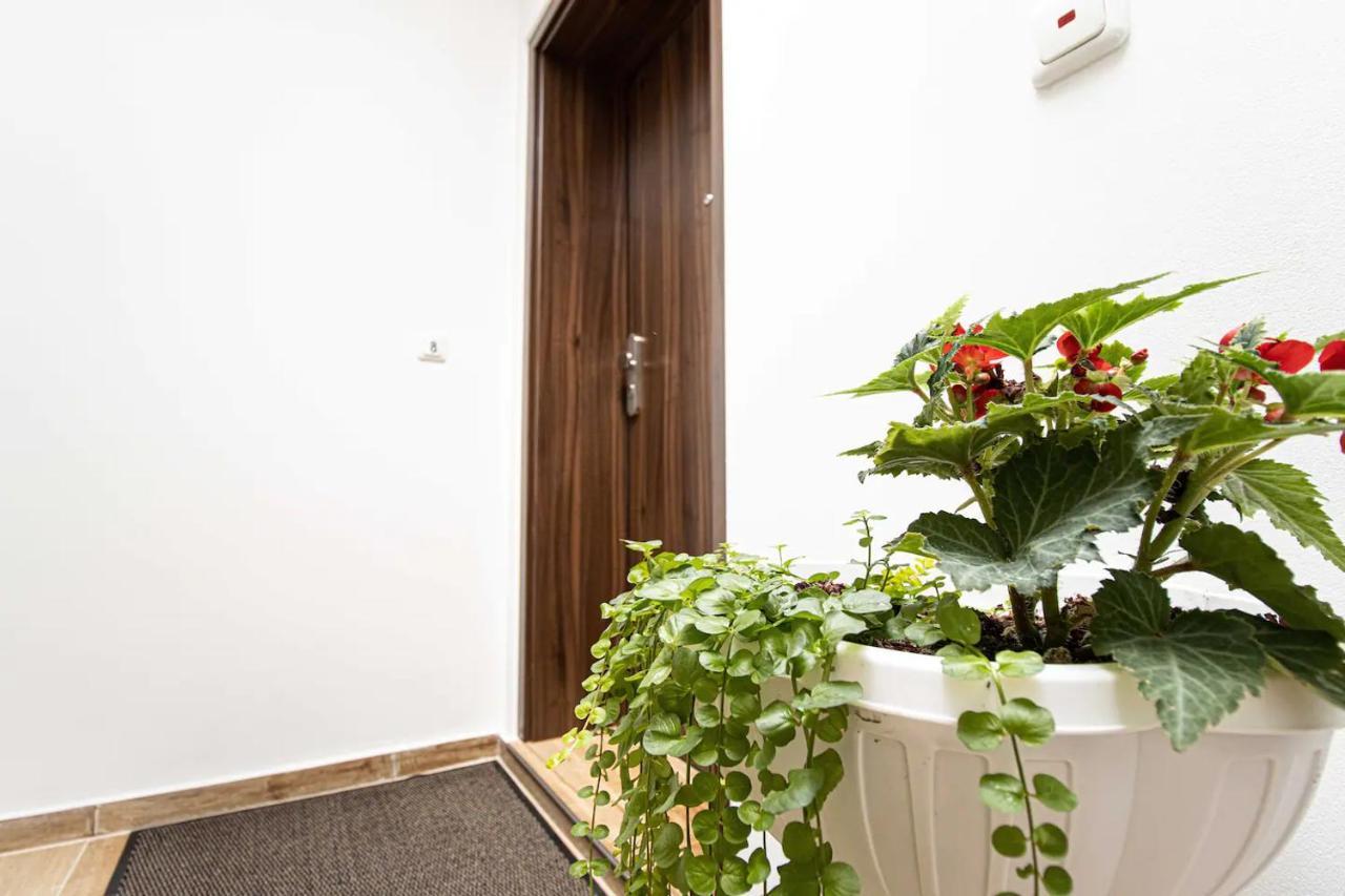 468 Plagwitz Apartment Kulturviertel Leipzig Ngoại thất bức ảnh